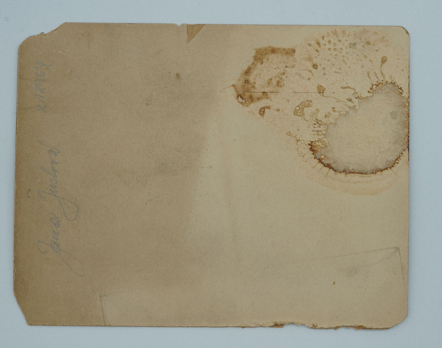 Photo JANA JUSTOVÁ (x18964)