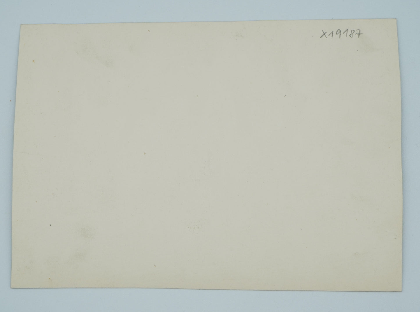 Fotografie MATKA A DÍTĚ (x19187)