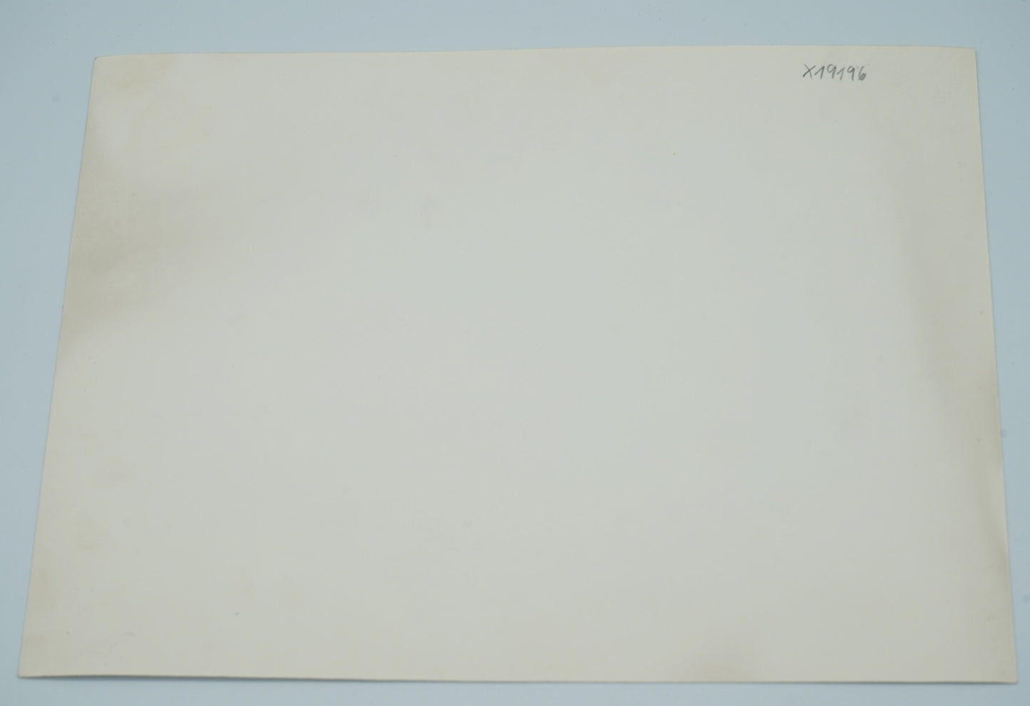 Fotografie DÍVKA V ŠATECH (x19196)