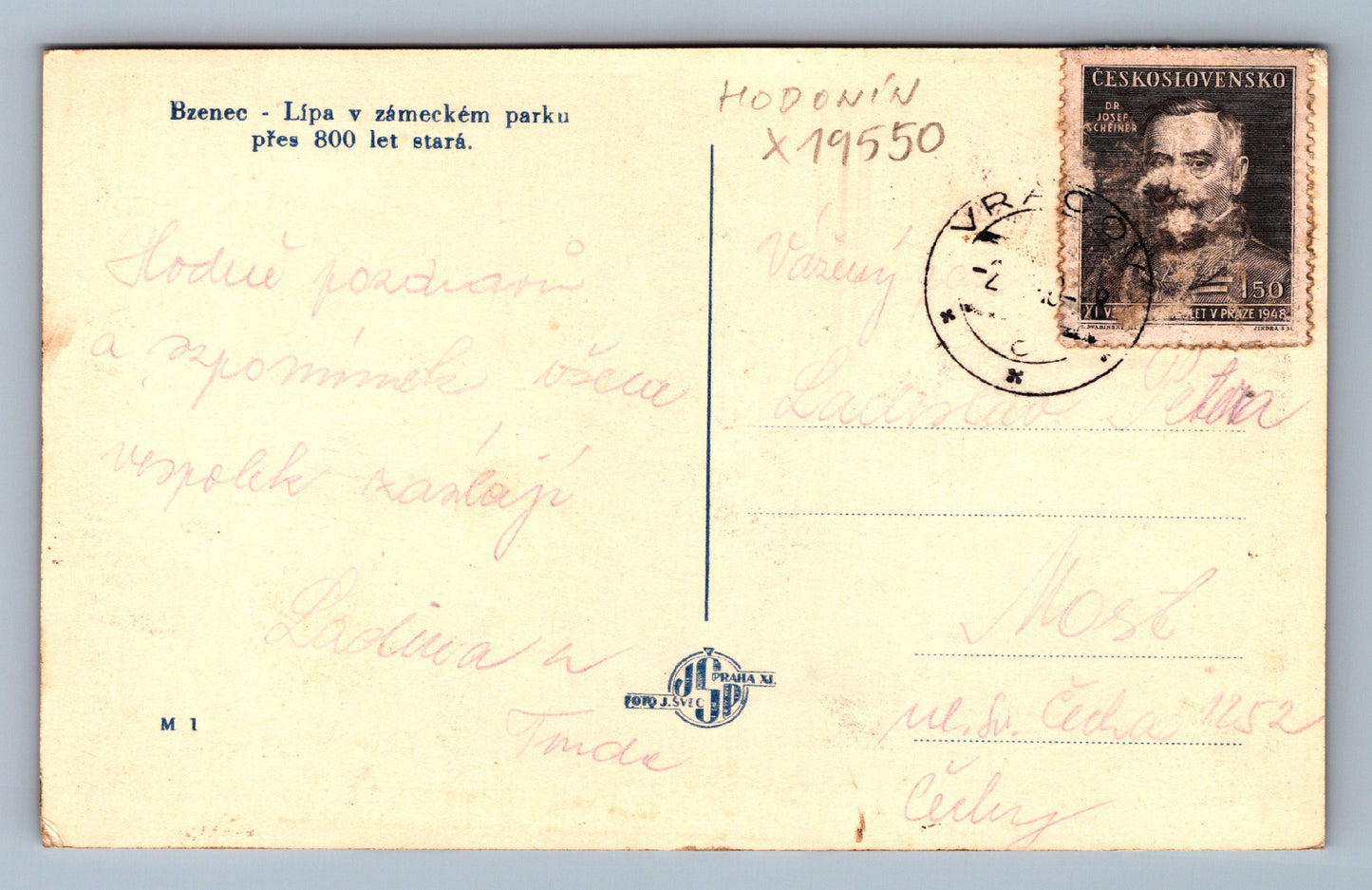 Pohlednice BZENC - LÍPA V ZÁMECKÉM PARKU PŘES 800 LET STARÁ (x19550)