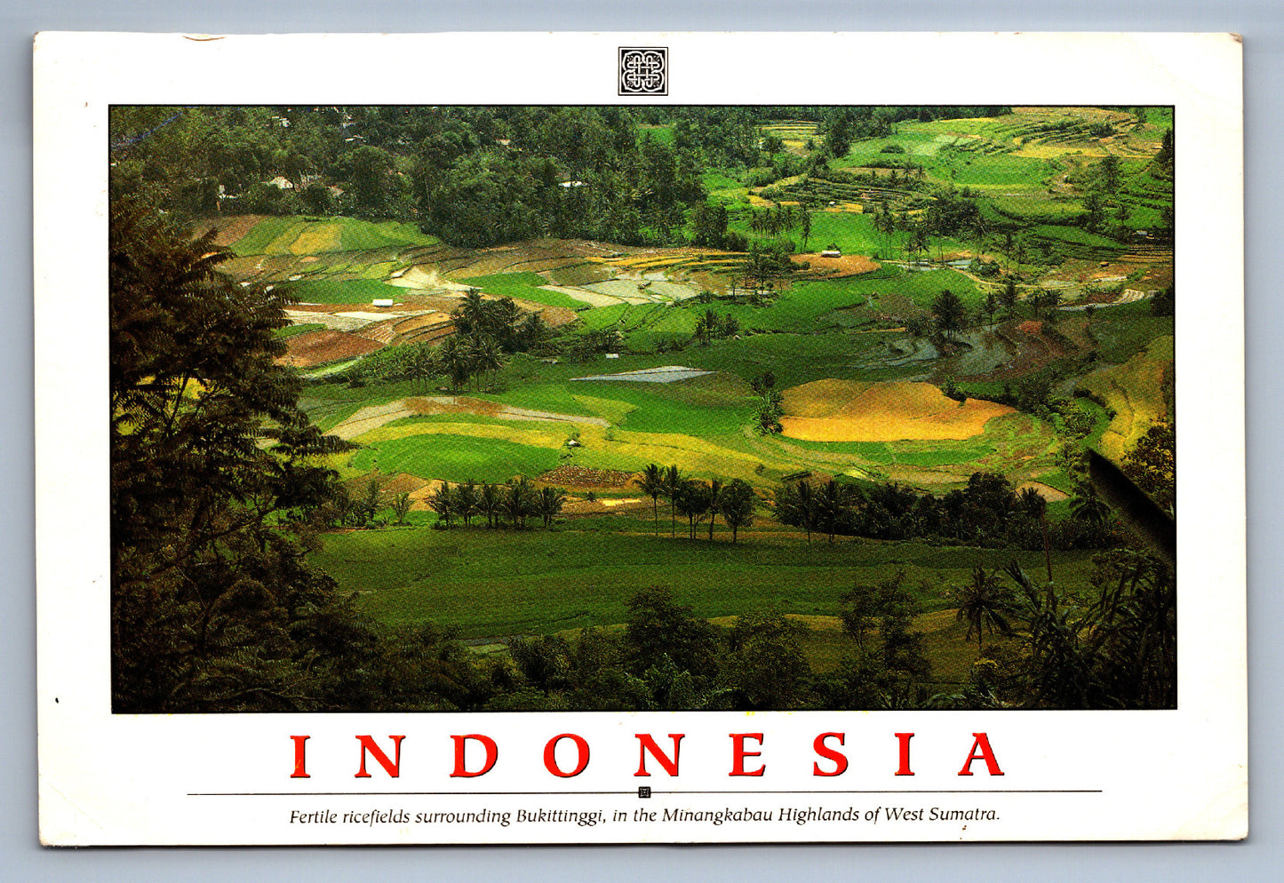 Pohlednice INDONESIA (x19929)