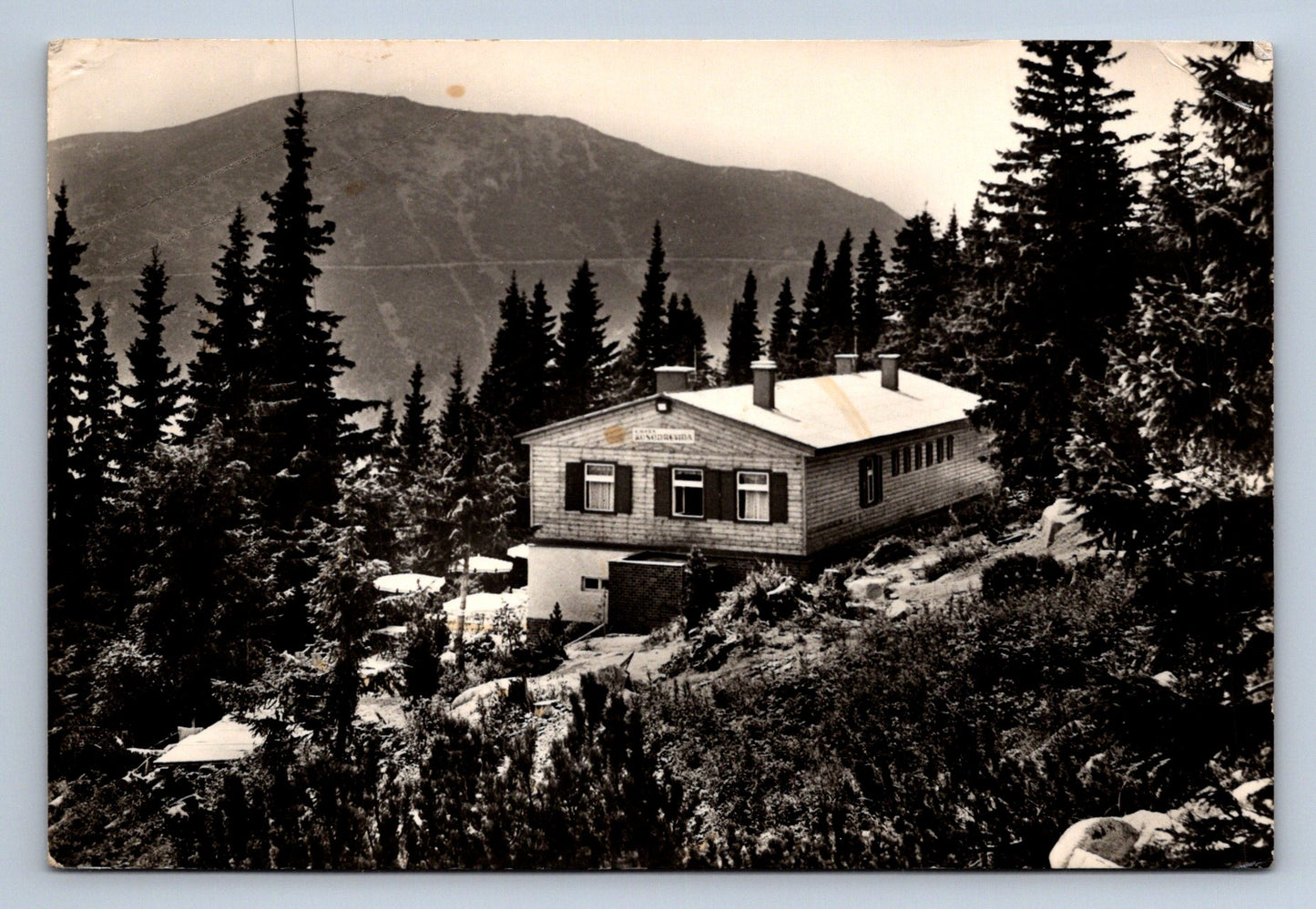 Pohlednice NÍZKÉ TATRY - chata Kosodrevina (P397)