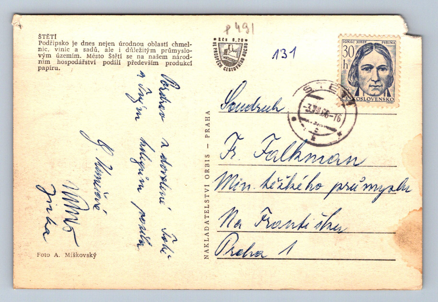 Pohlednice ŠTĚTÍ (P491)