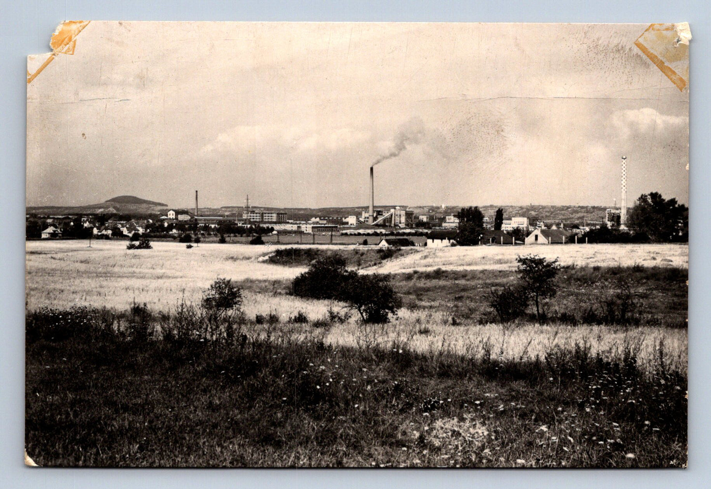 Pohlednice ŠTĚTÍ (P491)