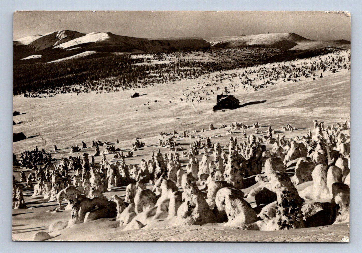 Pohlednice KRKONOŠE - Klínovky - v pozadí Kotel a Vysoké Kolo (P502)