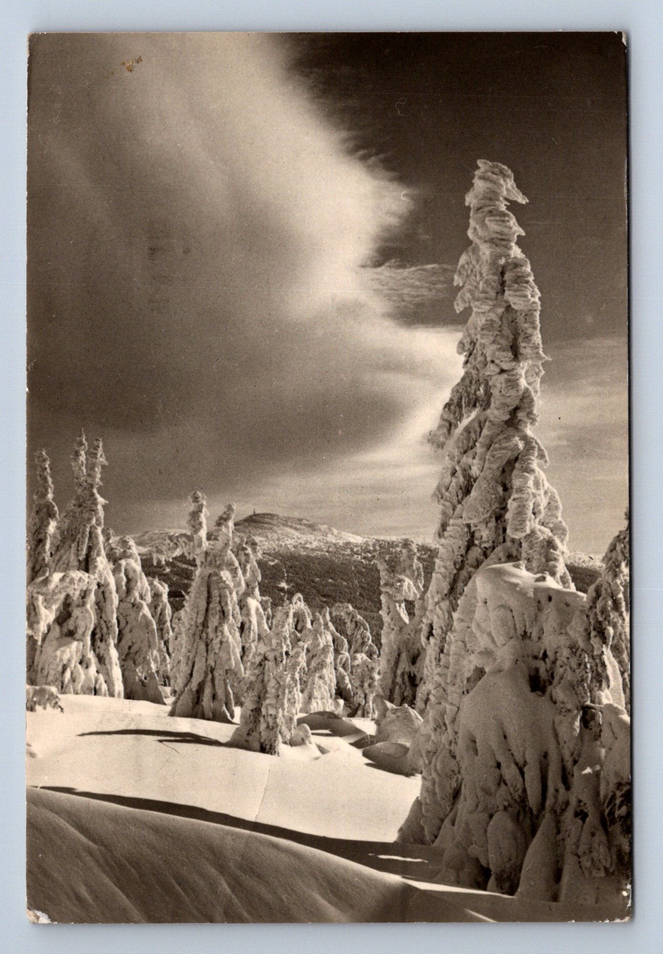 Pohlednice KRKONOŠE - krása zimy nad Petrovkou (P685)