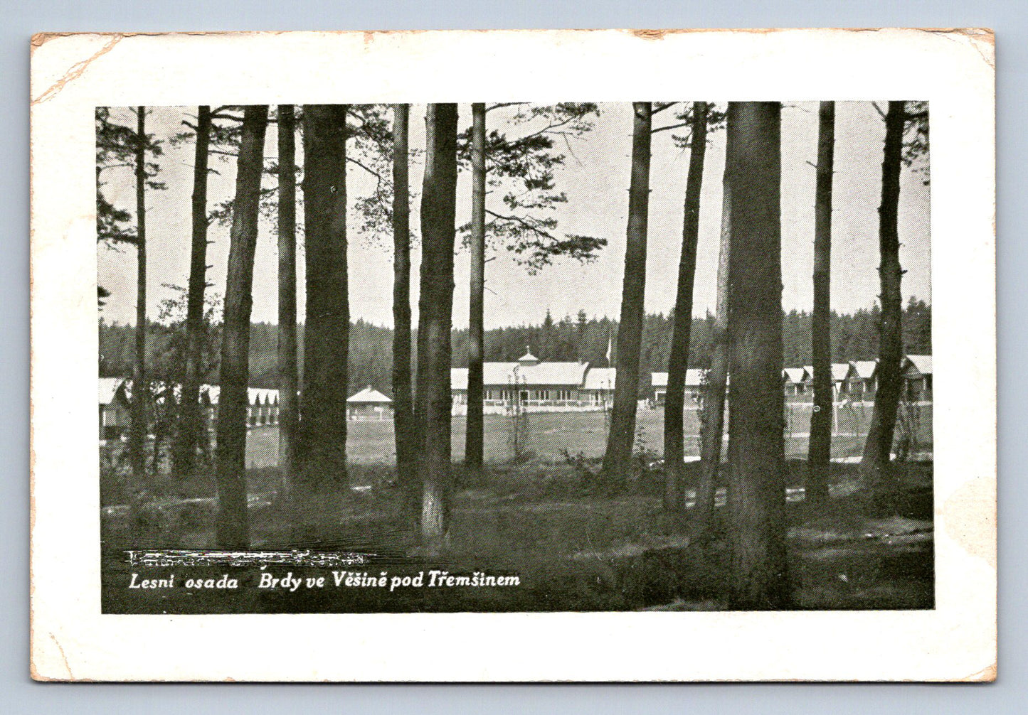 Pohlednice Lesní letovisko BRDY ve Věšíně (P757)