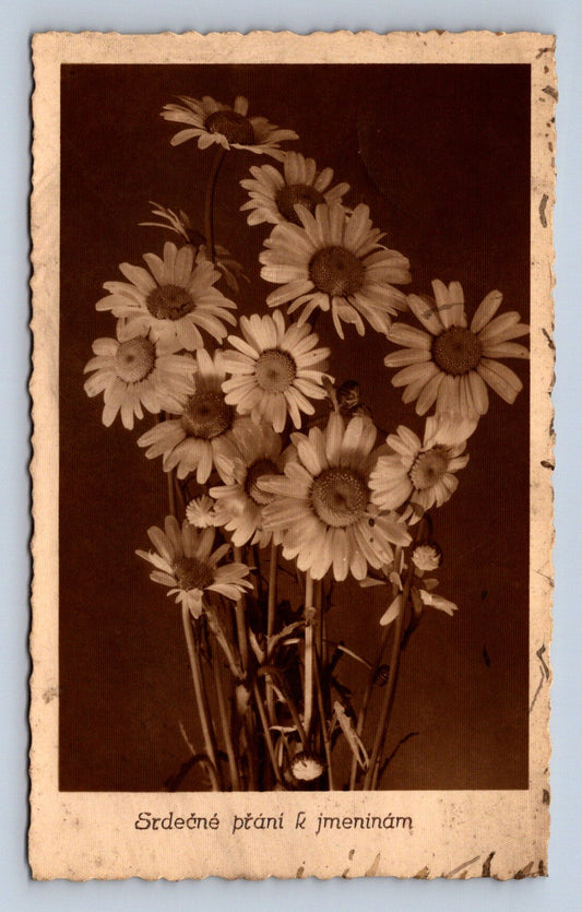 Pohlednice SRDEČNÉ PŘÁNÍ K JMENINÁM (X23279)