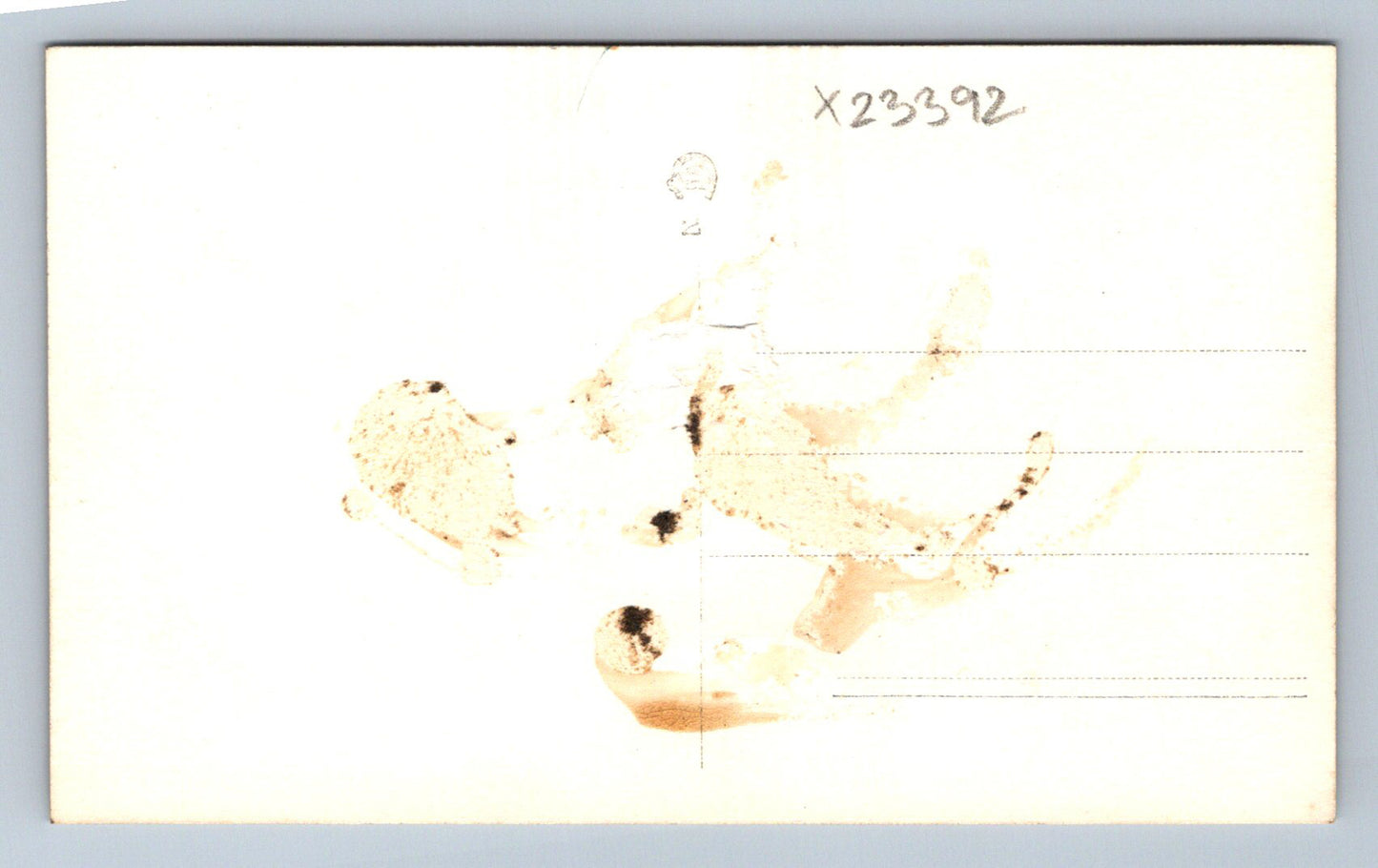 Postcard WOMAN AND MAN IN THE MOUNTAINS (X23392)