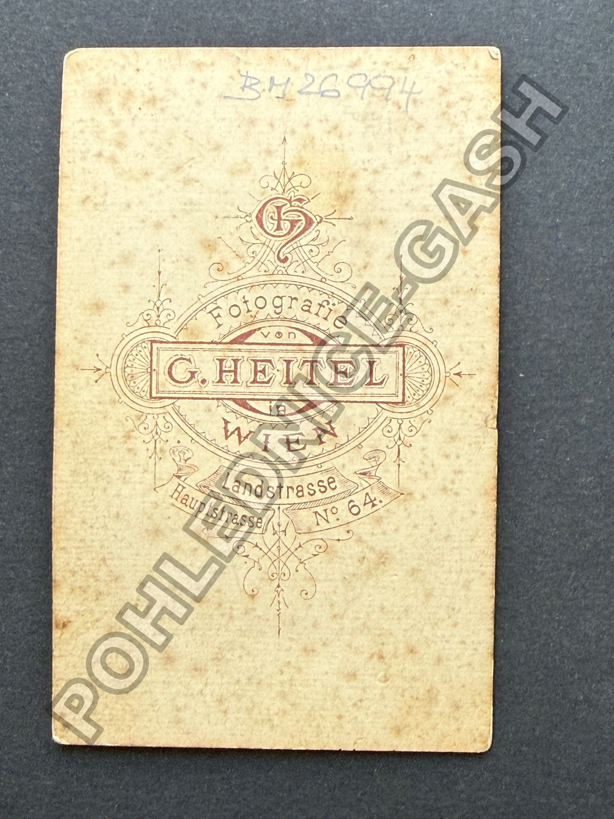 Stará fotografie Vídeň dáma v ateliéru (BM26994)