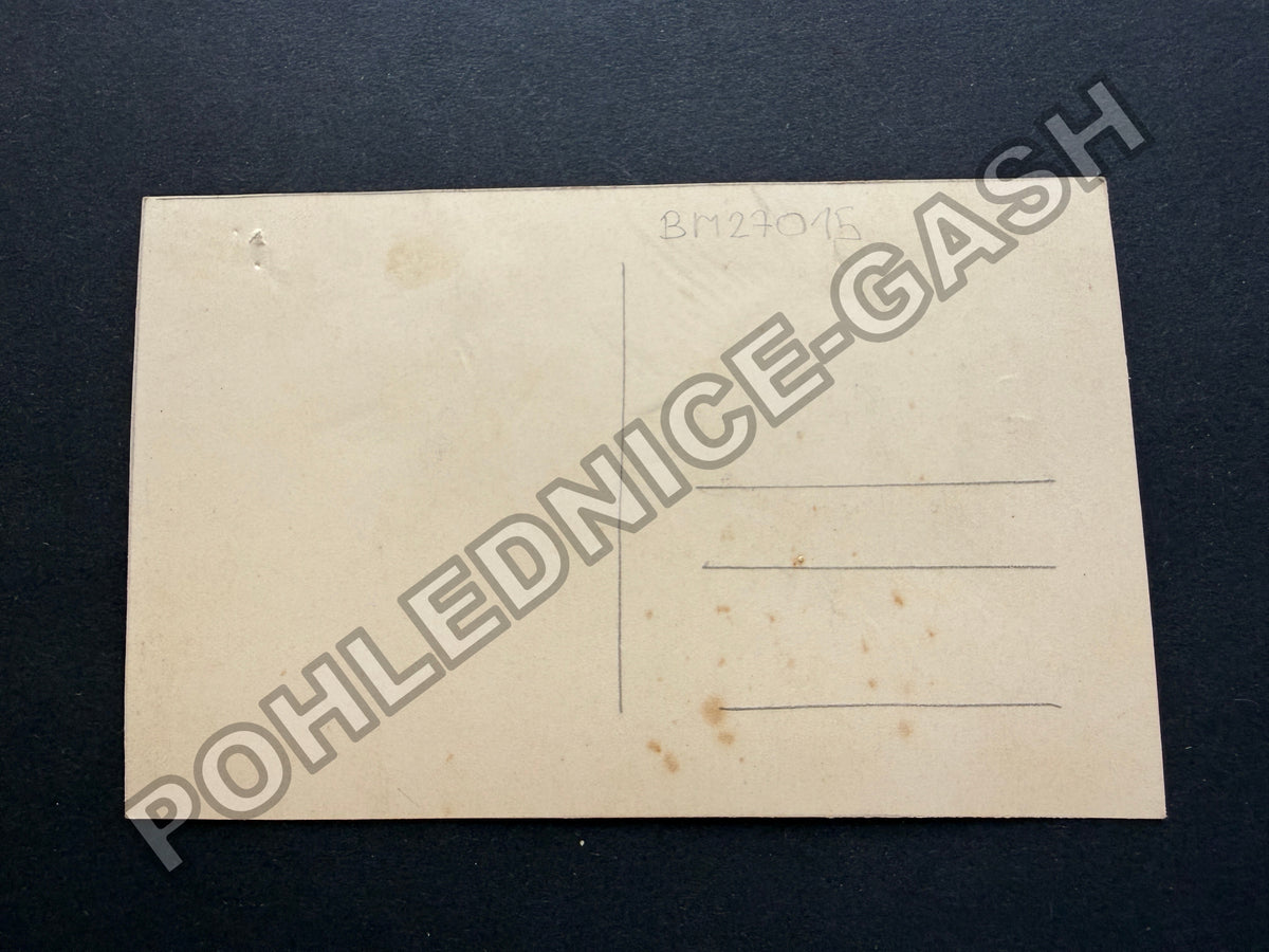 Pohlednice Vlaštovka a květiny reliéfní (BM27015)