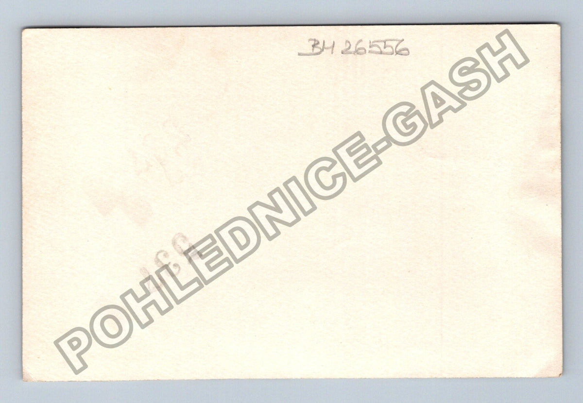 Stará fotografie prapor s portrétem a textem (BM26556)