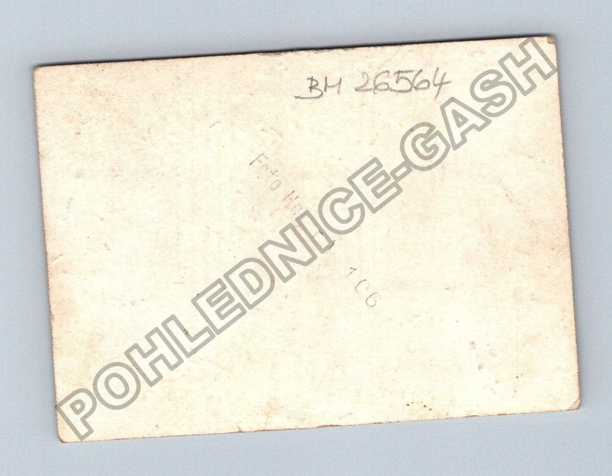 Stará fotografie skupina lidí v kroji u stolu (BM26564)