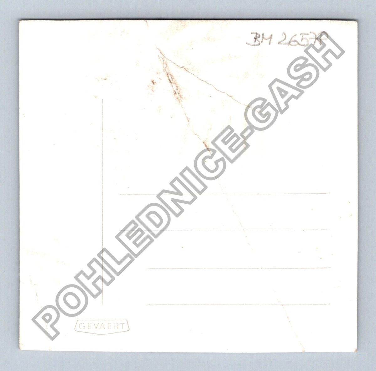 Pohlednice svatební nevěsta v parku (BM26578)