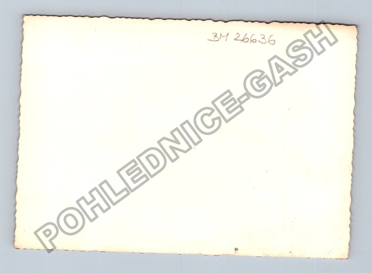 Stará fotografie kočka sedící na motorce (BM26636)