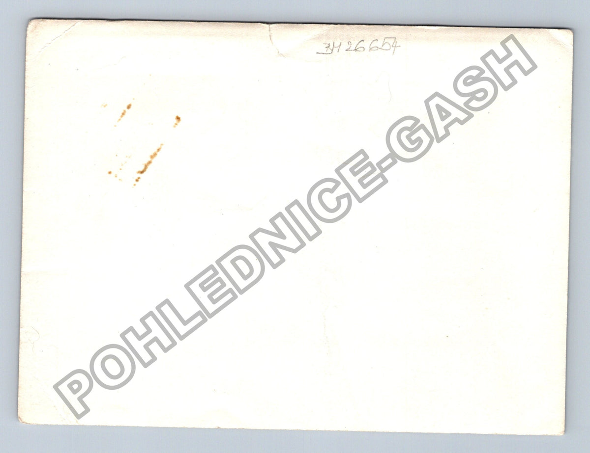 Stará fotografie dvě malé děti venku (BM26654)