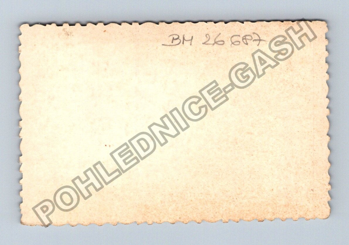 Stará fotografie žena v plavkách a pes u domu (BM26687)