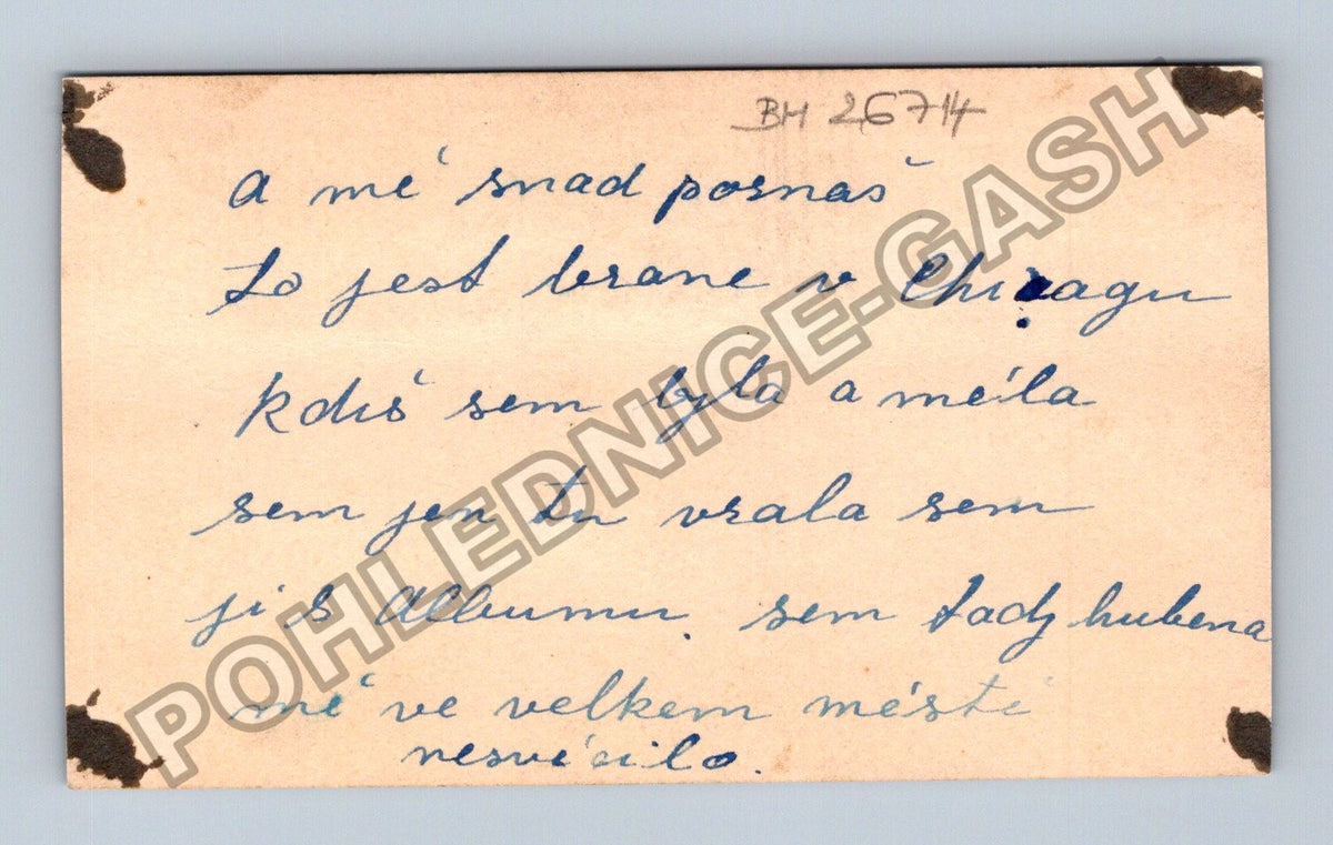 Stará fotografie Chicago portrét ženy (BM26714)