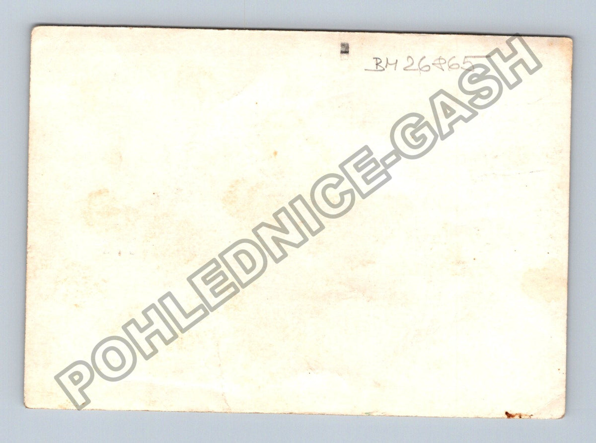 Stará fotografie Dubá venkovský dům a žena (BM26865)