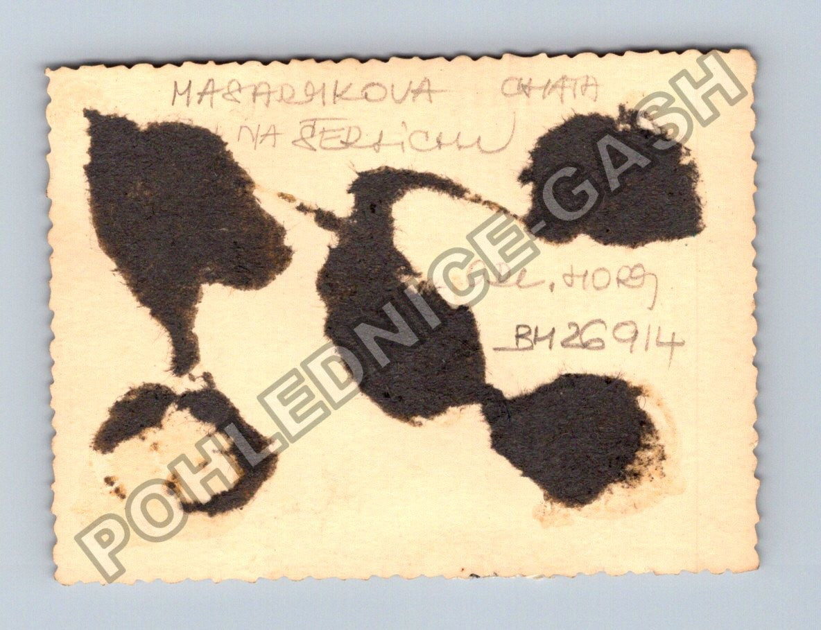 Stará fotografie Masarykova chata na Jedličku v Jizerkách (BM26914)