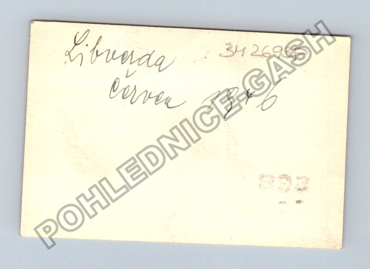 Stará fotografie Libunda krajina s kolejemi 1946 (BM26938)