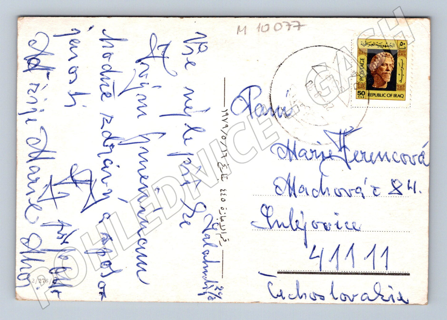 Pohlednice bílá kočka s růžemi odesláno Irák (M10077)