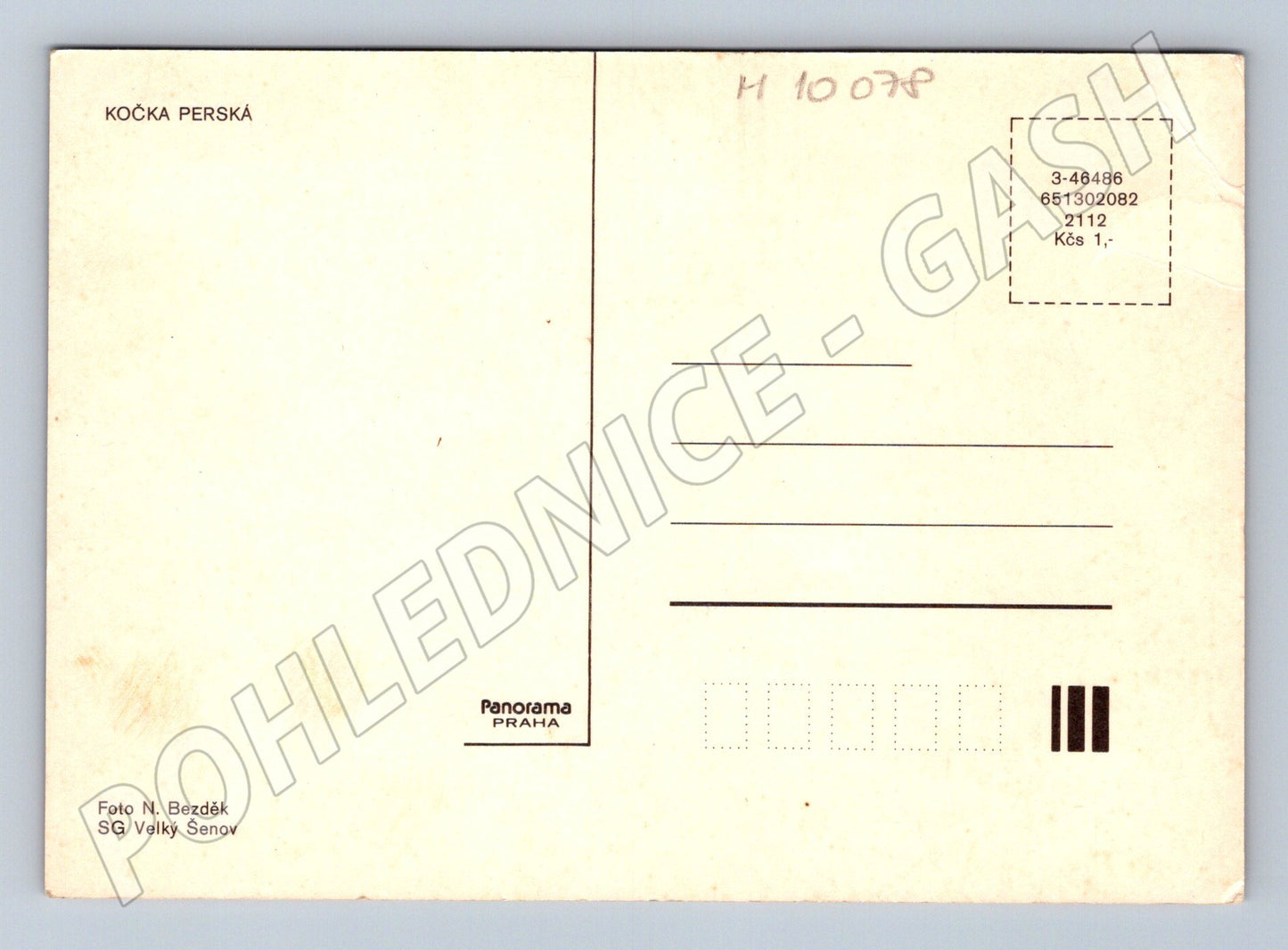 Pohlednice perská kočka Panorama Praha (M10078)