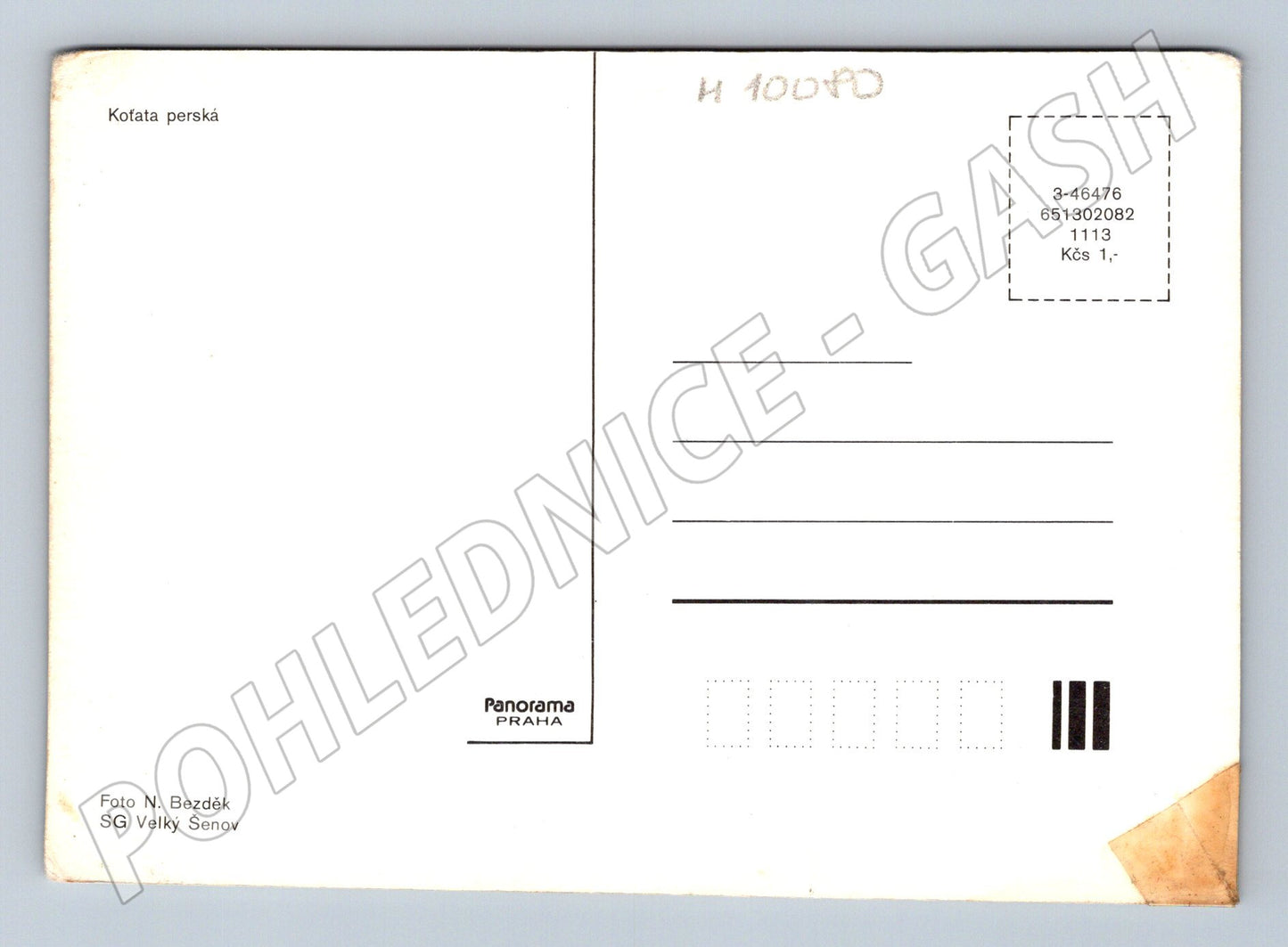 Pohlednice perská koťata Panorama Praha (M10080)