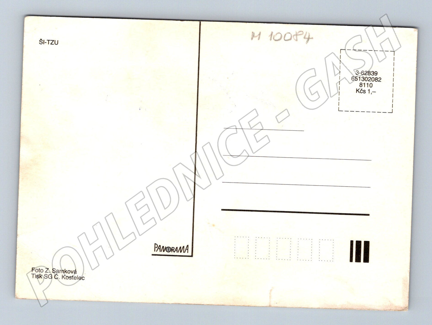 Pohlednice ši tzu dva psi na trávě (M10084)