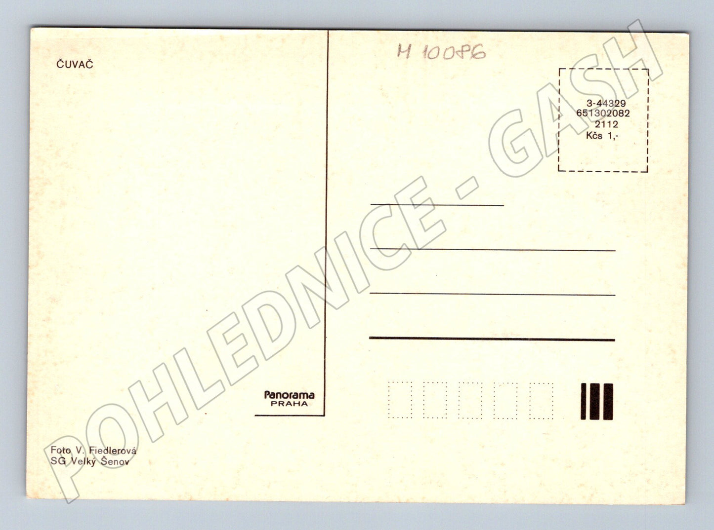 Pohlednice slovenský čuvač Panorama Praha (M10086)