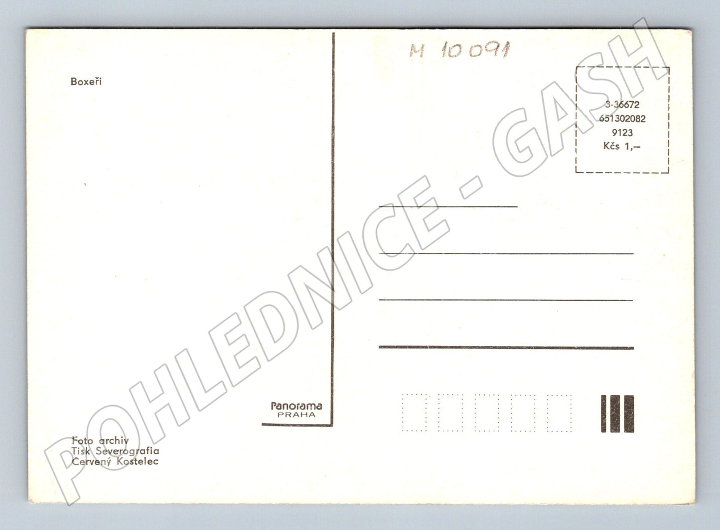Pohlednice boxeři dva psi na trávě ČSSR (M10091)