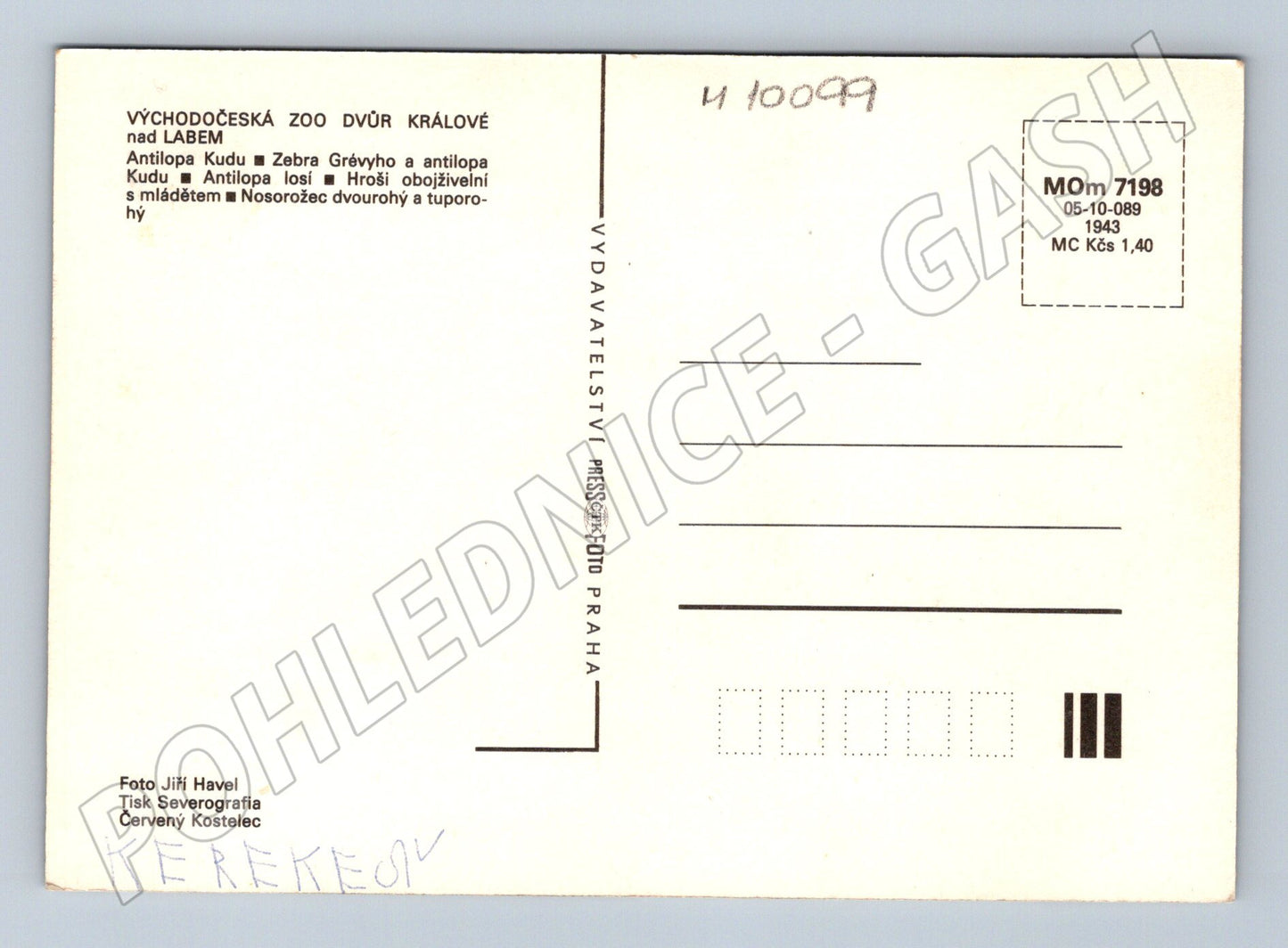 Postcard Zoo Safari Dvůr Králové Africa (M10099)