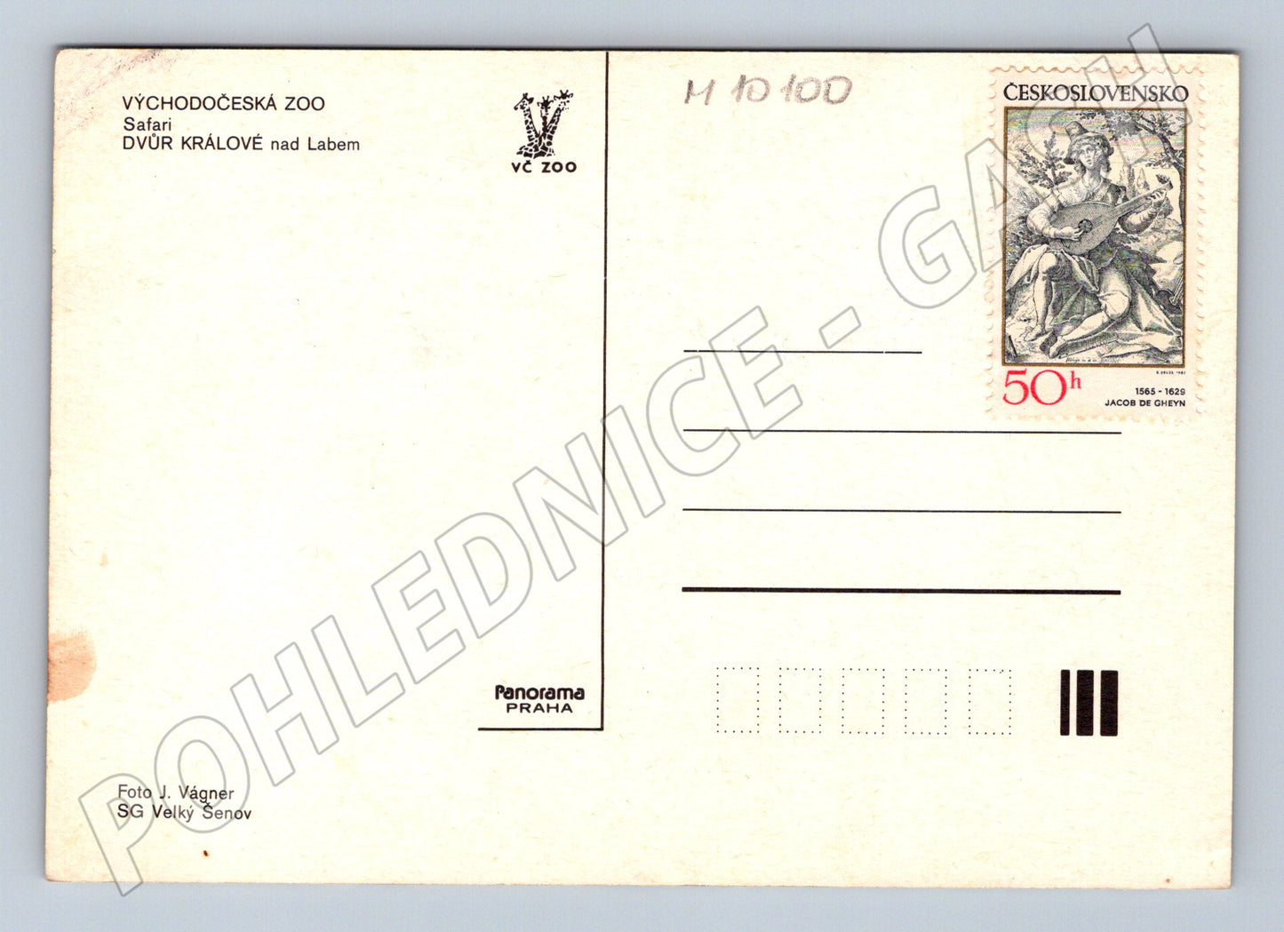 Pohlednice ZOO Dvůr Králové safari zvířata (M10100)