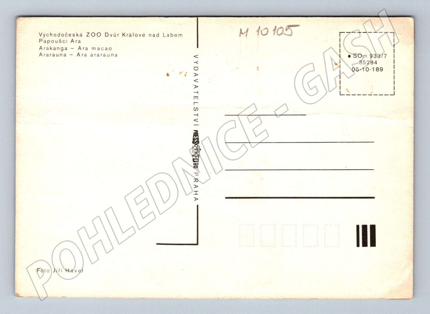 Pohlednice ZOO Dvůr Králové papoušci Ara (M10105)