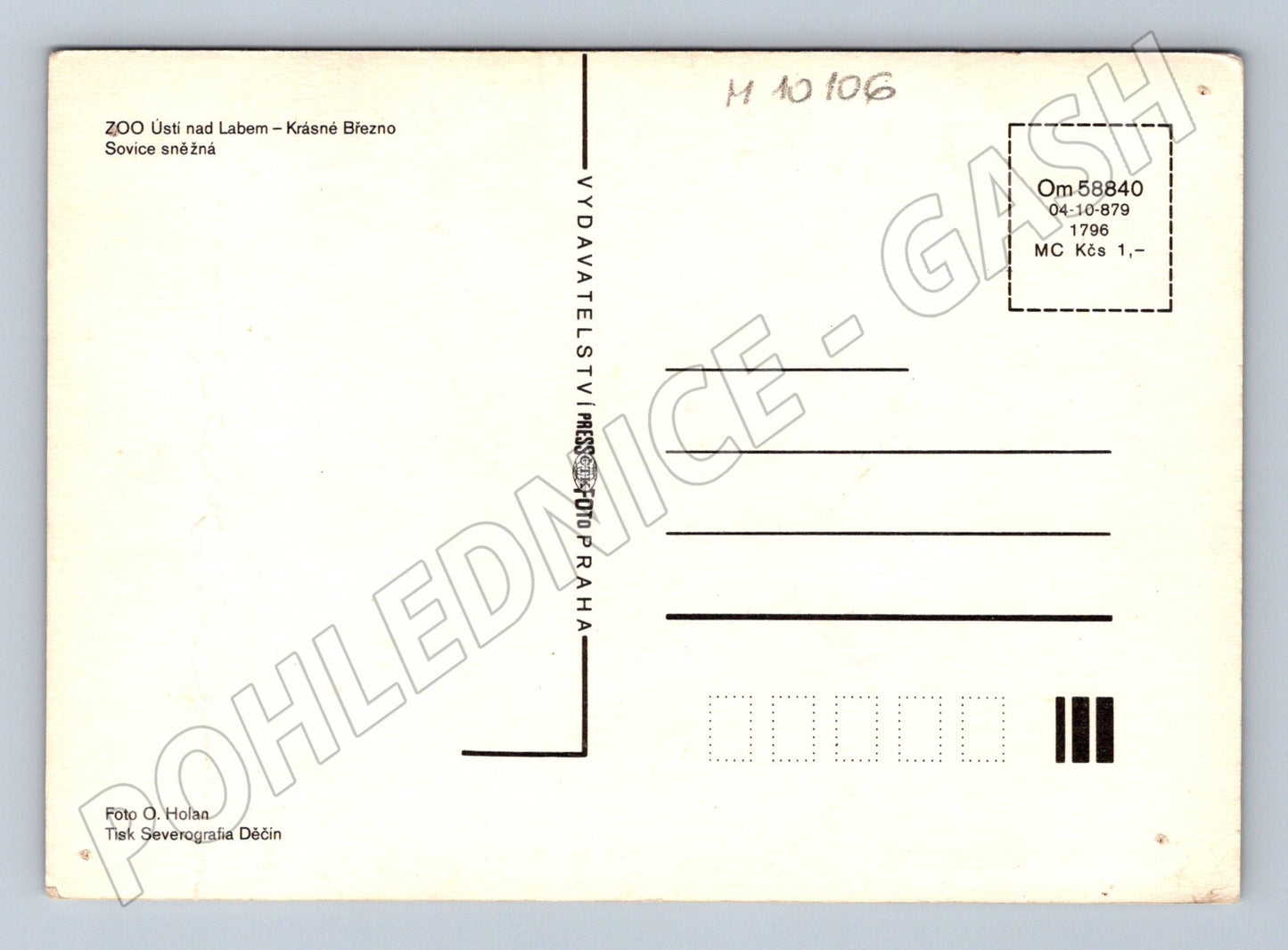 Postcard snowy owl Ústí n Labem ZOO (M10106)