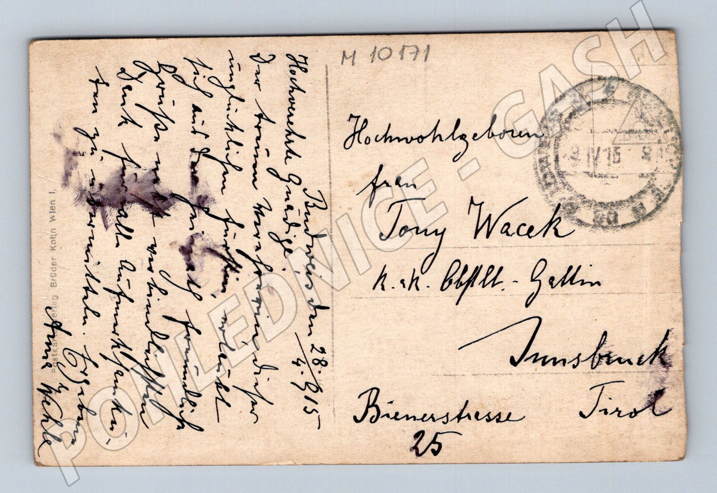 Archduke Franz Ferdinand family 1913 (M10171)