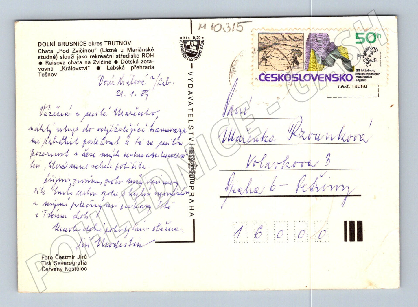 Pohlednice Královédvorsko - Les Království (M10315)