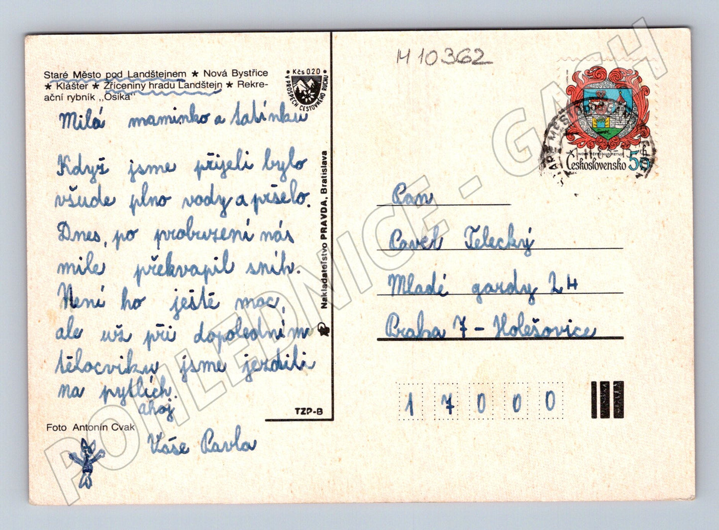 Pohlednice Nová Bystřice a okolí - více záběrů (M10362)