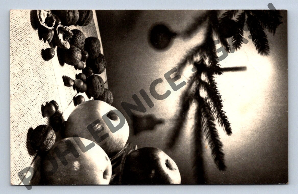 Pohlednice Vánoce ČR 1954 foto F. Bučina (M1081)