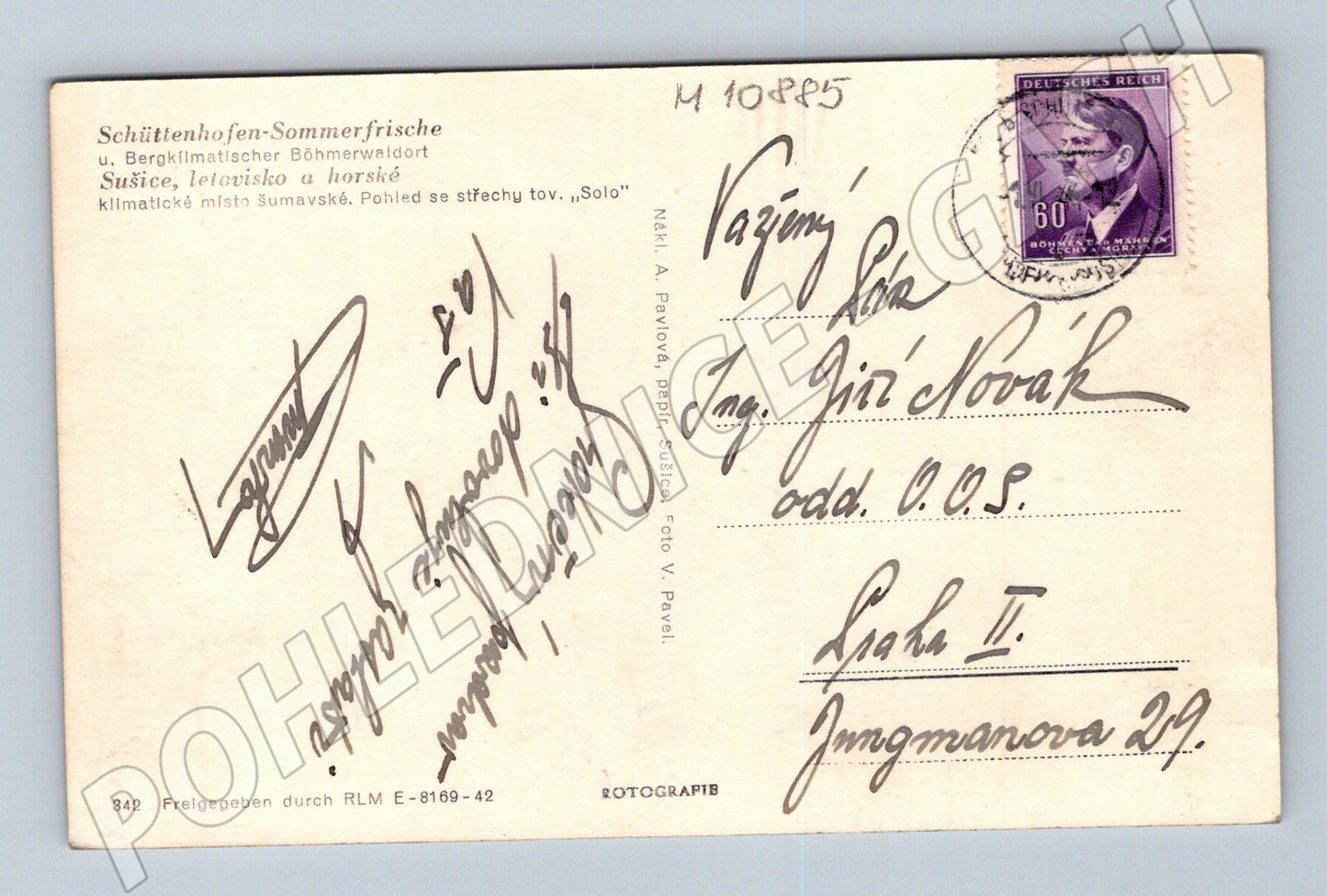 Pohlednice Sušice, Šumava – historická do 1950 (M10885)