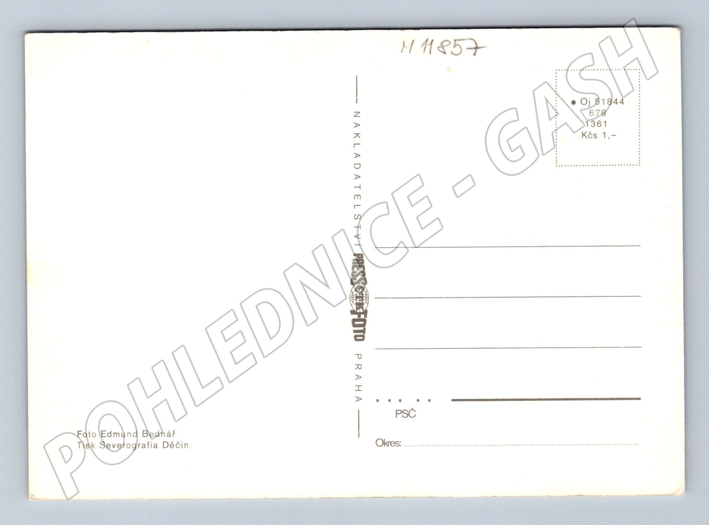 Pohlednice žluté narcisy retro (M11857)