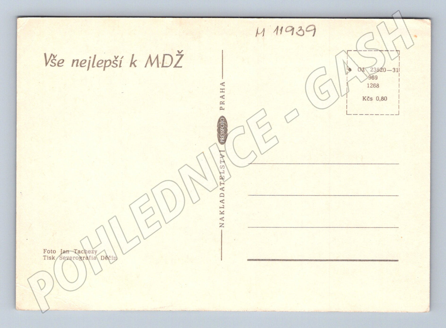 Pohlednice ČR MDŽ Růže (M11939)