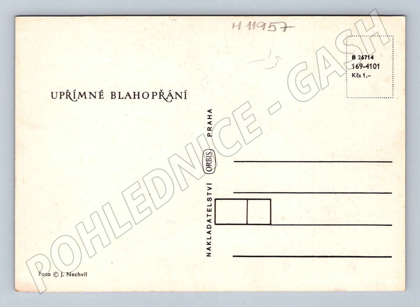 Pohlednice zátiší s kopretinami a hruškami (M11957)