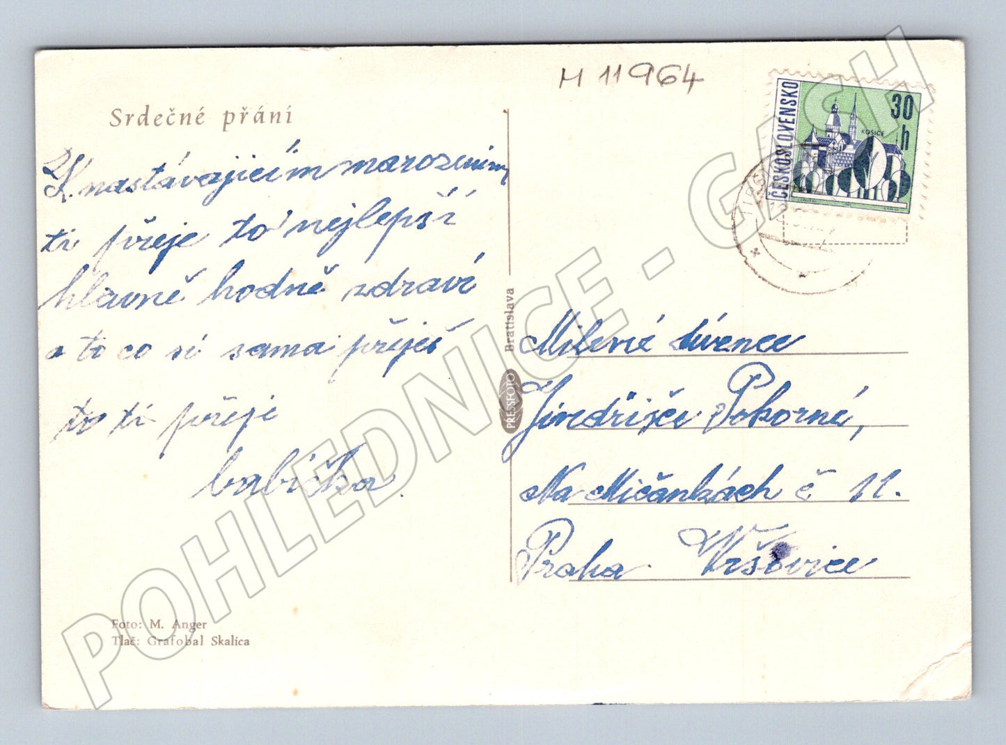 Pohlednice růže Československo 1960. léta (M11964)