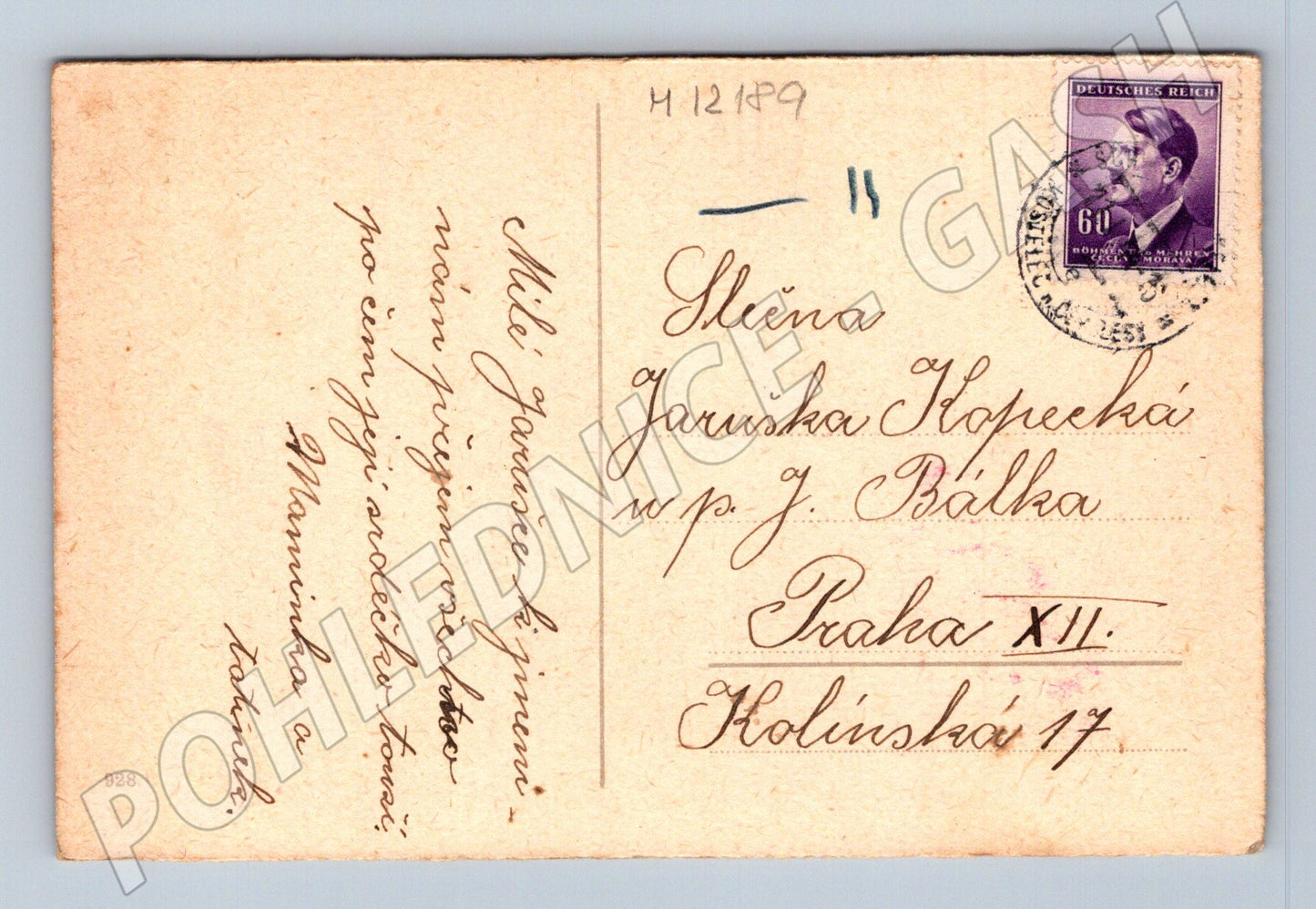 Pohlednice Starý pohled růže Praha (M12189)