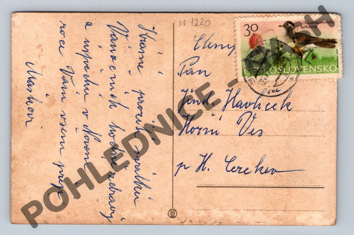 Pohlednice Šťastný nový rok – ČSR 1920 (M1220)