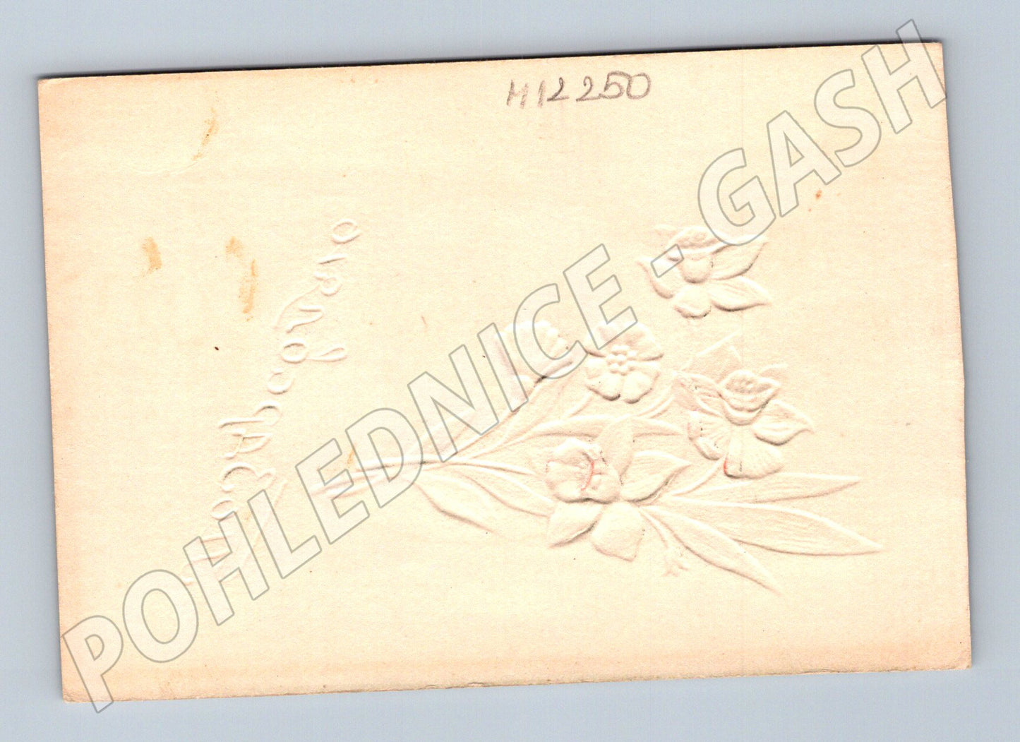 Pohlednice Starodávná reliéfní květiny (M12250)