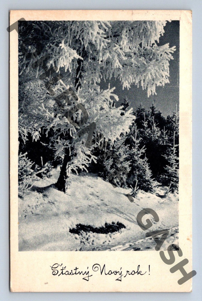 Pohlednice Šťastný Nový rok – Československo (M1226)