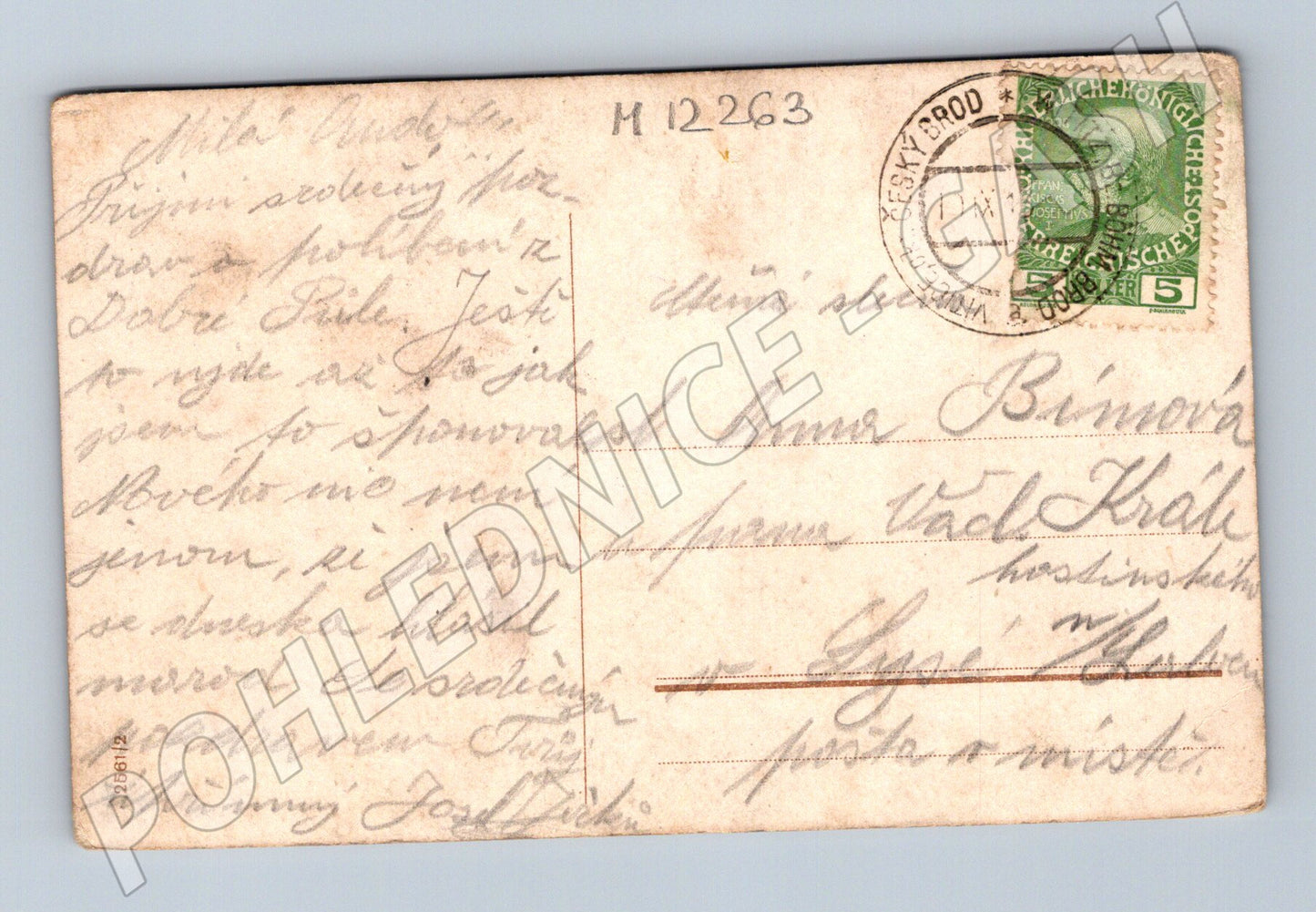 Pohlednice Rakousko-Uhersko 1909 Růže (M12263)