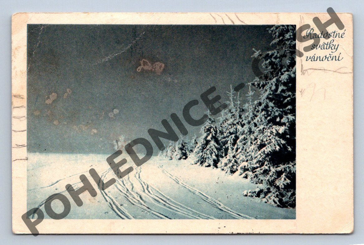 Pohlednice ČSR zimní krajina zasněžené stromy 50. léta (M1247)